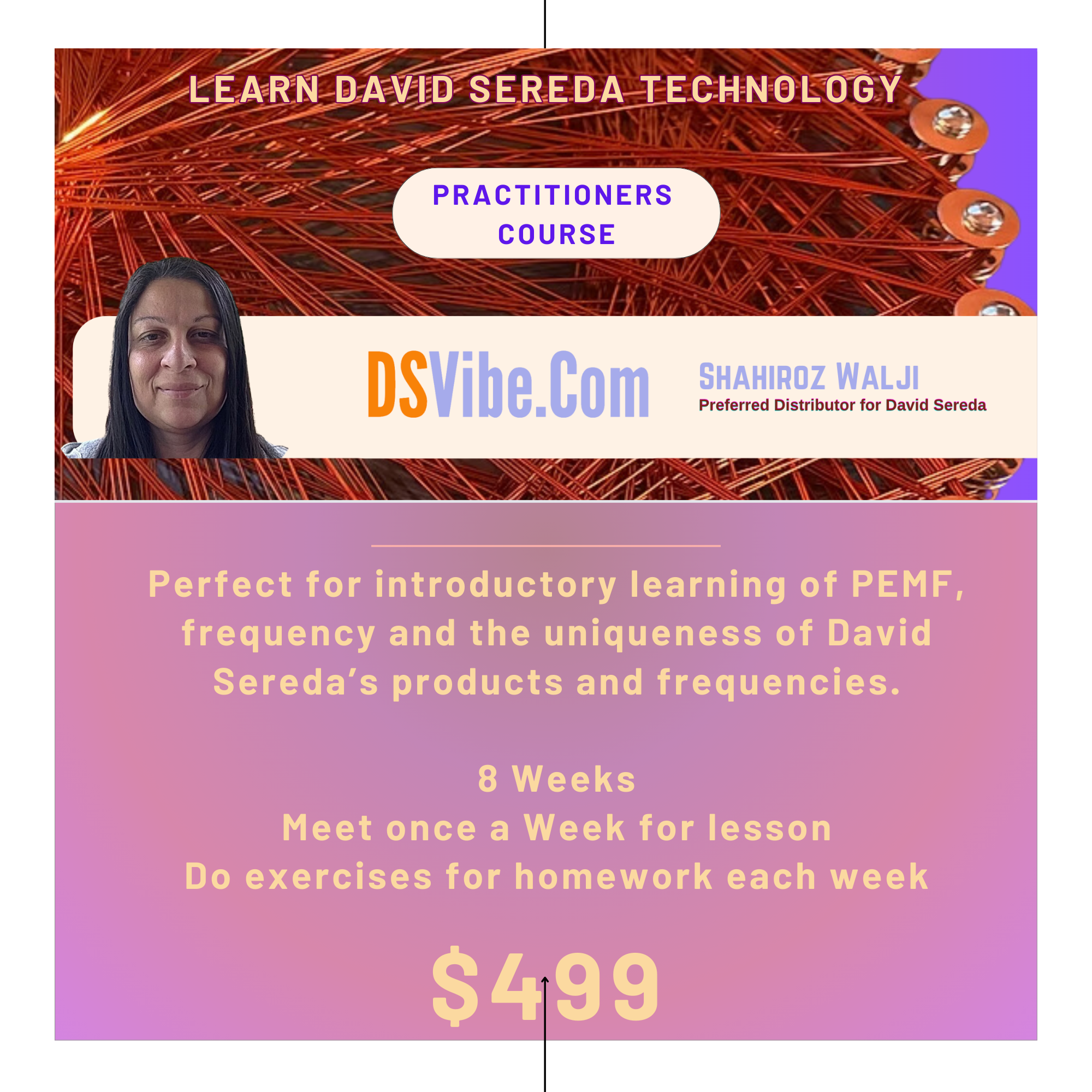 Practitioner - Introduction