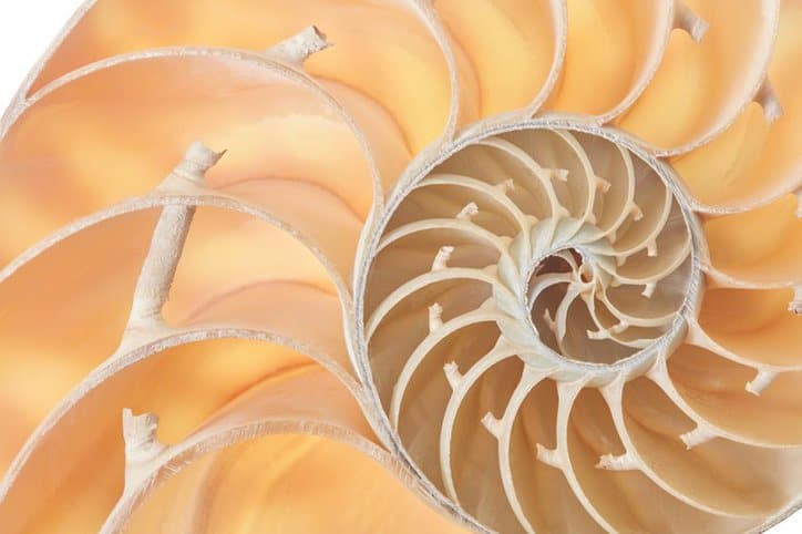 The Golden Ratio Project